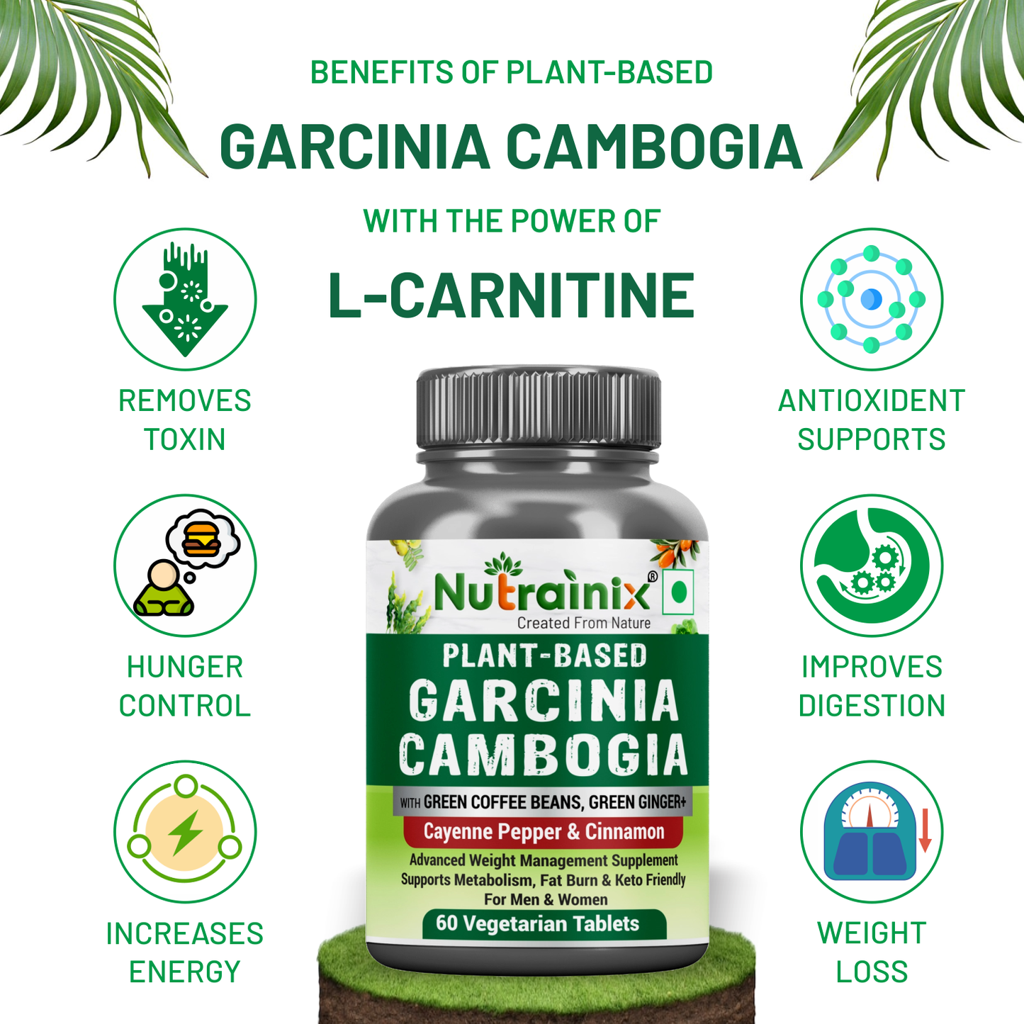 Nutrainix Plant-Based Garcinia Cambogia - 60 Vegetarian Tablets