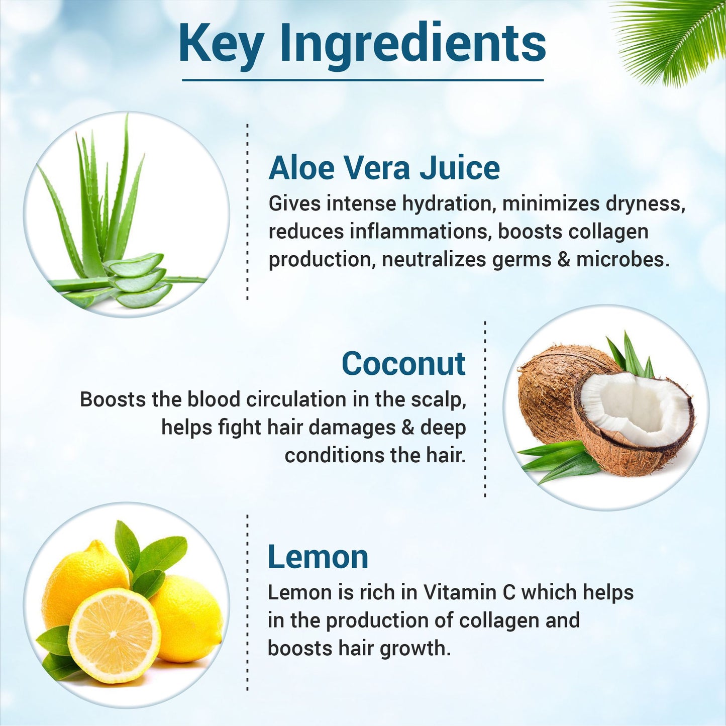 Hydrating Biotin & Keratin Rescue Conditioner